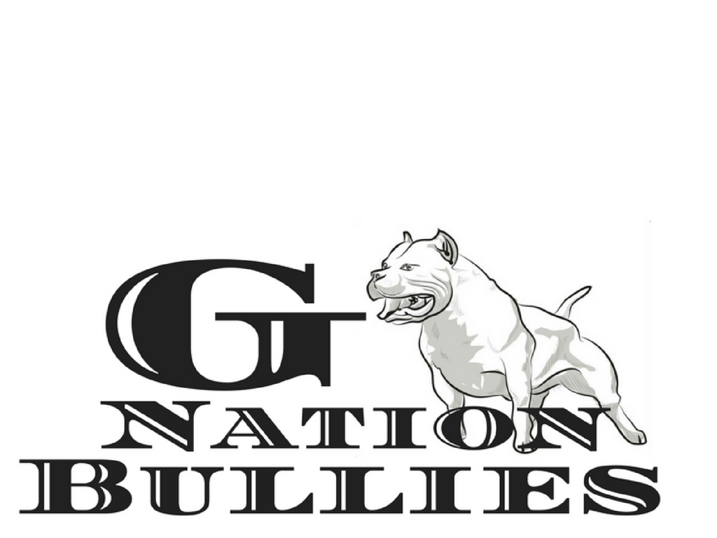 G NATION BULLIES